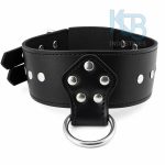 N-102 (Collar)